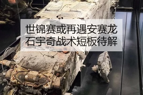 世锦赛或再遇安赛龙 石宇奇战术短板待解
